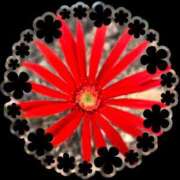 河野律子 ありがとう(o^^o) 五十路マダム 岐阜店