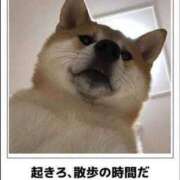 ヒメ日記 2025/08/20 11:40 投稿 れもん 桃色奥様 松戸本店