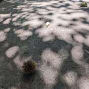 日比野　ゆづき ご予約 アロマキュアシス