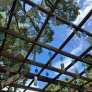 ヒメ日記 2025/09/03 12:12 投稿 内田 さつき HANA-okinawa-