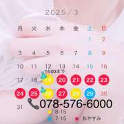 ヒメ日記 2025/03/18 23:25 投稿 ゆうか ていくぷらいど.学園