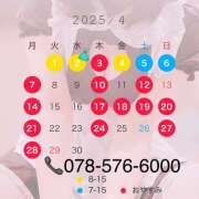 ヒメ日記 2025/03/27 13:24 投稿 ゆうか ていくぷらいど.学園