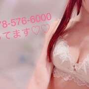 ヒメ日記 2025/05/13 06:32 投稿 ゆうか ていくぷらいど.学園