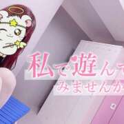 ヒメ日記 2025/05/30 07:50 投稿 ゆうか ていくぷらいど.学園