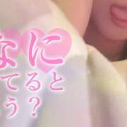 ヒメ日記 2025/10/20 07:50 投稿 ゆうか ていくぷらいど.学園