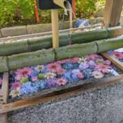 永野りな もう少し 五十路マダム 新潟店(カサブランカグループ)