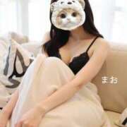 ヒメ日記 2025/07/05 07:32 投稿 まお 贅沢なひと時