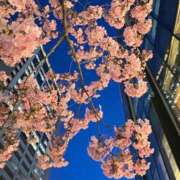 ヒメ日記 2026/04/06 21:47 投稿 まお 贅沢なひと時