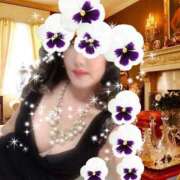 ヒメ日記 2025/03/12 22:18 投稿 エレナ セレブコレクション赤坂