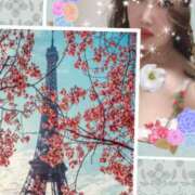 ヒメ日記 2025/03/29 05:46 投稿 エレナ セレブコレクション赤坂