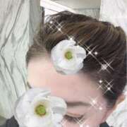 ヒメ日記 2025/07/05 20:34 投稿 エレナ セレブコレクション赤坂