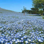 ヒメ日記 2025/05/05 12:31 投稿 あずさ ANGEL KISS 池袋