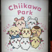 ヒメ日記 2025/09/11 18:01 投稿 あずさ ANGEL KISS 池袋