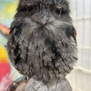 ヒメ日記 2025/10/08 15:00 投稿 あずさ ANGEL KISS 池袋