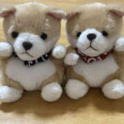 ヒメ日記 2025/10/29 16:55 投稿 あずさ ANGEL KISS 池袋