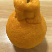 ヒメ日記 2026/02/12 17:54 投稿 あずさ ANGEL KISS 池袋