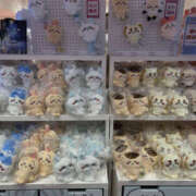 ヒメ日記 2026/04/08 17:54 投稿 あずさ ANGEL KISS 池袋