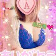 ヒメ日記 2025/03/03 20:27 投稿 明日香 モアグループ所沢人妻城