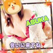 ヒメ日記 2025/11/14 22:06 投稿 明日香 モアグループ所沢人妻城