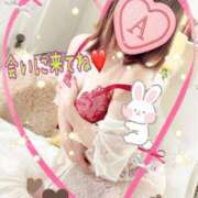 ヒメ日記 2025/11/23 18:36 投稿 明日香 モアグループ所沢人妻城