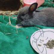 ヒメ日記 2025/05/31 18:56 投稿 にいな ENTERTAINMENT SOAP LOVE VEGAS(ラブベガス)