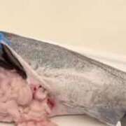 ヒメ日記 2025/02/04 16:51 投稿 りん 三重四日市ちゃんこ