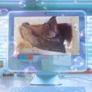 ヒメ日記 2025/05/15 18:21 投稿 りん 三重四日市ちゃんこ