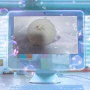 ヒメ日記 2025/12/12 19:21 投稿 りん 三重四日市ちゃんこ