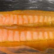 ヒメ日記 2025/12/24 16:21 投稿 りん 三重四日市ちゃんこ