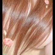 ヒメ日記 2026/03/20 11:04 投稿 りん 三重四日市ちゃんこ