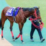 ヒメ日記 2024/07/08 01:36 投稿 ひかる 千葉三浦屋本館