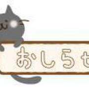 ひかる お知らせだよ📢 千葉三浦屋本館