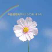 ヒメ日記 2026/07/14 11:26 投稿 モモ アロマリラックスリゾート 甲府店