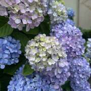 小川 初めまして☔️ 熟らぶ