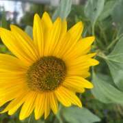 小川 猛暑🥵 熟らぶ