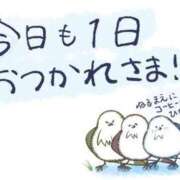 ヒメ日記 2023/12/07 05:55 投稿 さくら ちゃんこ川越