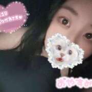 ヒメ日記 2025/01/29 05:00 投稿 さくら ぽっちゃり巨乳美女専門川越ちゃんこ