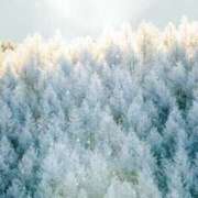 ヒメ日記 2025/01/19 17:20 投稿 じゅん 快楽玉乱堂