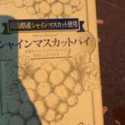 ヒメ日記 2025/08/17 19:26 投稿 じゅん 快楽玉乱堂