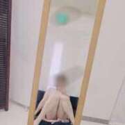 ヒメ日記 2024/12/19 09:39 投稿 わこ 西川口こんにちわいふ（シンデレラグループ）