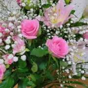 ヒメ日記 2025/01/01 10:07 投稿 わこ 西川口こんにちわいふ（シンデレラグループ）