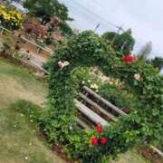 ヒメ日記 2025/01/04 10:36 投稿 わこ 西川口こんにちわいふ（シンデレラグループ）