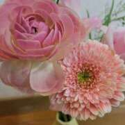 ヒメ日記 2025/04/14 06:32 投稿 わこ 西川口こんにちわいふ（シンデレラグループ）