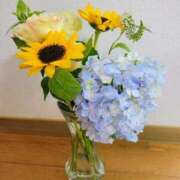 ヒメ日記 2025/06/27 20:01 投稿 わこ 西川口こんにちわいふ（シンデレラグループ）