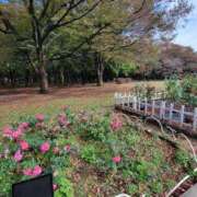 ヒメ日記 2025/07/16 06:21 投稿 わこ 西川口こんにちわいふ（シンデレラグループ）