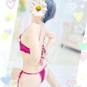 ヒメ日記 2025/11/19 09:14 投稿 かすみ 即アポ奥さん ～津・松阪店～