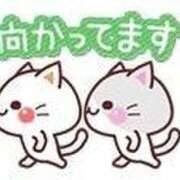 ヒメ日記 2025/01/15 21:59 投稿 みくり サンキュー福岡店