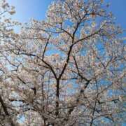 ヒメ日記 2025/04/10 11:27 投稿 みつこ 妻天 梅田店