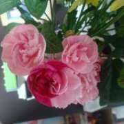 ヒメ日記 2025/05/09 11:47 投稿 みつこ 妻天 梅田店