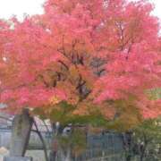 ヒメ日記 2025/11/06 11:37 投稿 みつこ 妻天 梅田店